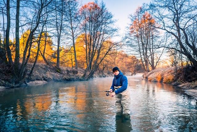 Stream Fishing