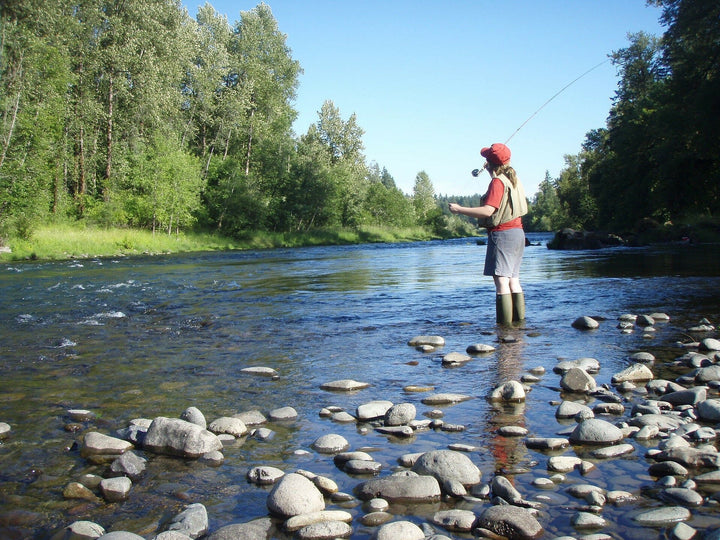 Creek Fishing