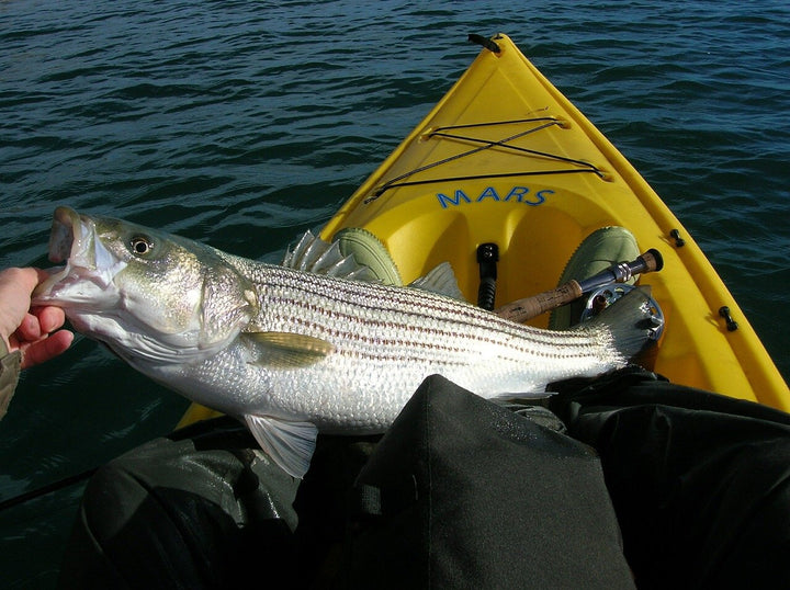 Bass fishing from Kayak 