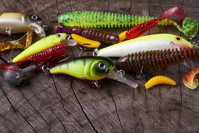 Softbaits or Hardbaits Fishing Blog