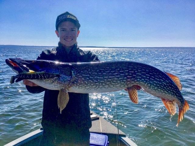 Northern Pike