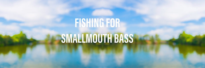 How to catch Smallmouth Bass