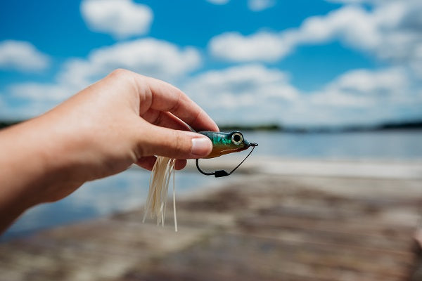 Topwater Frog