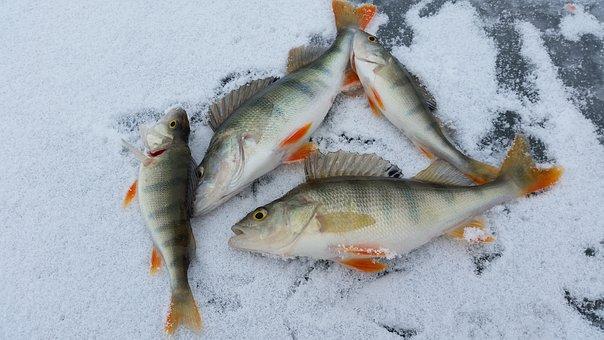 5 Ice-Fishing Lures You Need This Winter